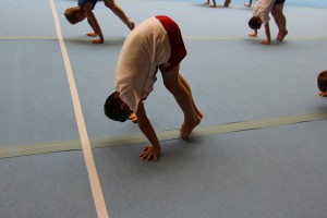 IMG 0597